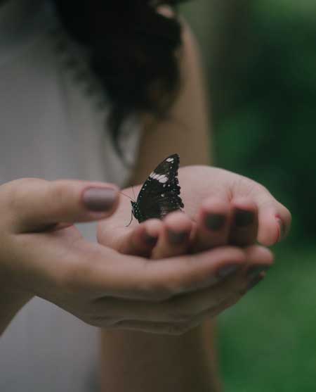 Image of a woman's hand holding a butterfly for blog article entitled "Are You Ready for Lasting Change?" for Gulf Breeze Recovery non-12 step holistic drug and alcohol rehab