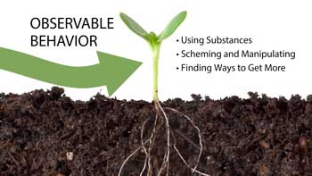 image of a plant representing the observable behavior of addiction “Beyond Addiction” is a podcast dedicated to establishing a new outlook on addiction treatment centered around the inside out approach to recovery.