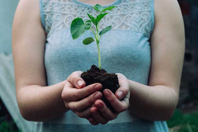 image of young woman holding a plant in bare soil for new feature podcast "Beyond Addiction" in which Barnett Gilmer, Owner, and CEO of Gulf Breeze Recovery and Kat Carle, Admissions Director at Gulf Breeze Recovery, discuss the root cause of addiction and how this understanding relates to breaking the cycle of chronic relapse.