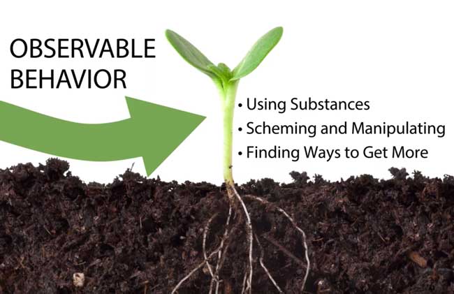 Graphic image of plant showing the soil, roots, and sprout above the soil with copy explaining the observable behavior of addiction and the ways they manifest in using drug and alcohol, scheming and manipulating, and finsing ways to get more.