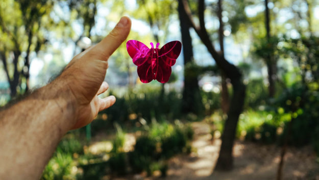 butterfly-hope-2000px