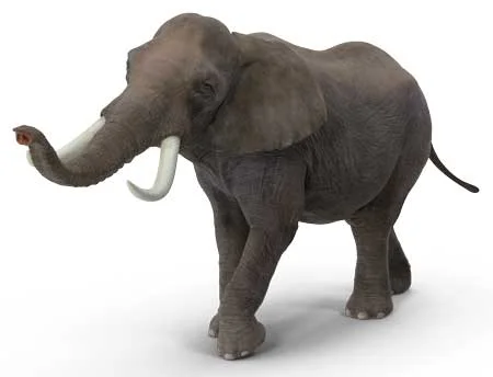 The drug is so powerful that it poses a threat both to first responders and law enforcement officers who may touch it by accident. 