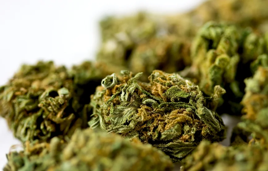 marijuana