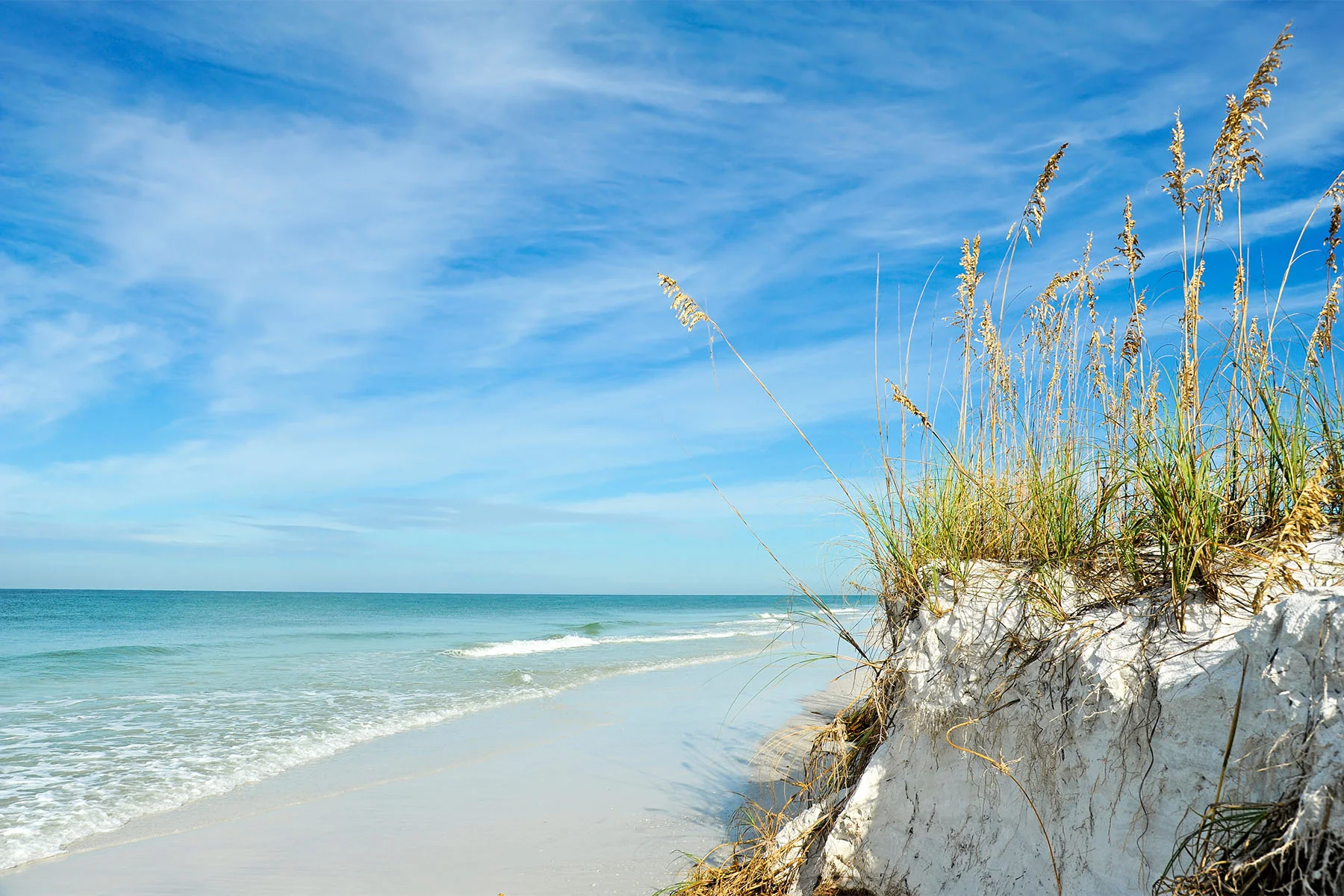 Rock and foliage on beach with clear sky