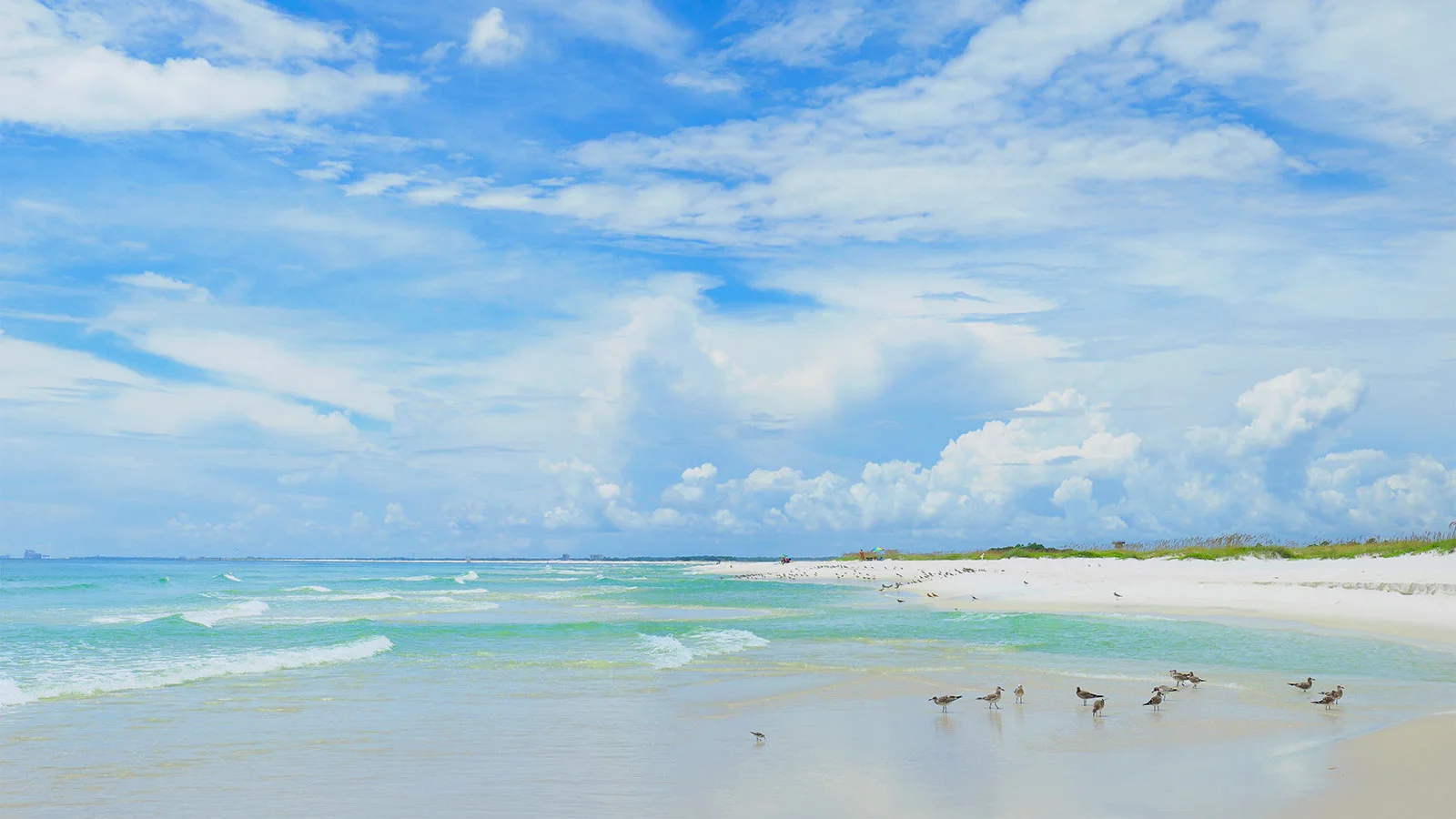 Beach with seagulls and a cloudy sky