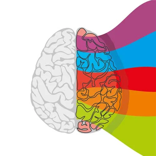 brain